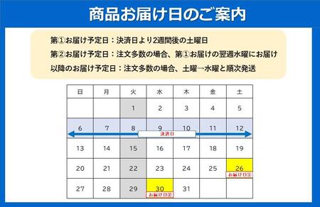 ブルーシールギフト18（12種類）【アイス アイス アイスクリーム ご当地 ご当地アイス ギフト スイーツ デザート お菓子 おかし 詰め合わせ 詰合せ セット 冷凍 】