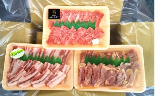 バラエティー焼肉セット