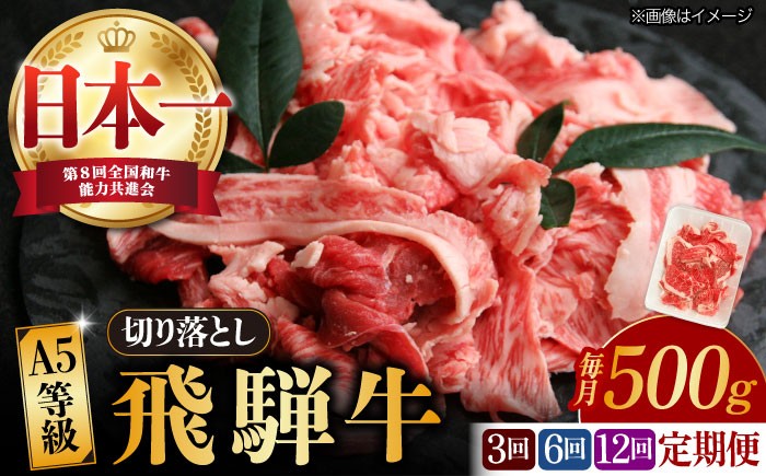 
                  【選べる定期便回数】【飛騨牛】A5等級 切り落とし 500g (3回/6回/12回) 和牛 ブランド牛 国産 牛肉 多治見市 / 渡辺精肉店 [TAZ012]
                