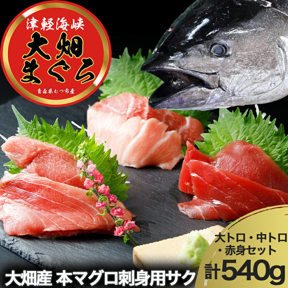 【ふるさと納税】産地直送！ 津軽海峡 大畑産 厳選本マグロ刺身用サク(大トロ・中トロ・赤身)食べ比べセット 鮮魚 海鮮 本鮪 大トロ 中トロ 赤身 ふるさと納税 マグロ 本マグロ マグロ刺身 刺身 青森県産 むつ市