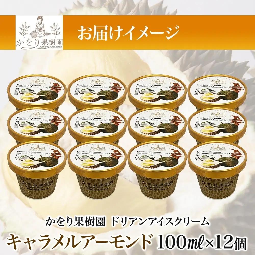 【予約受付】ドリアン ココナッツ キャラメルアーモンド アイスクリーム 100ml 12個 ココナッツ キャラメル