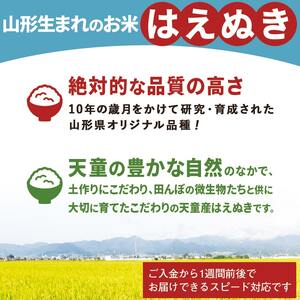 はえぬき 10kg [ 令和7年産 ] 米 精米 山形 07-30-047