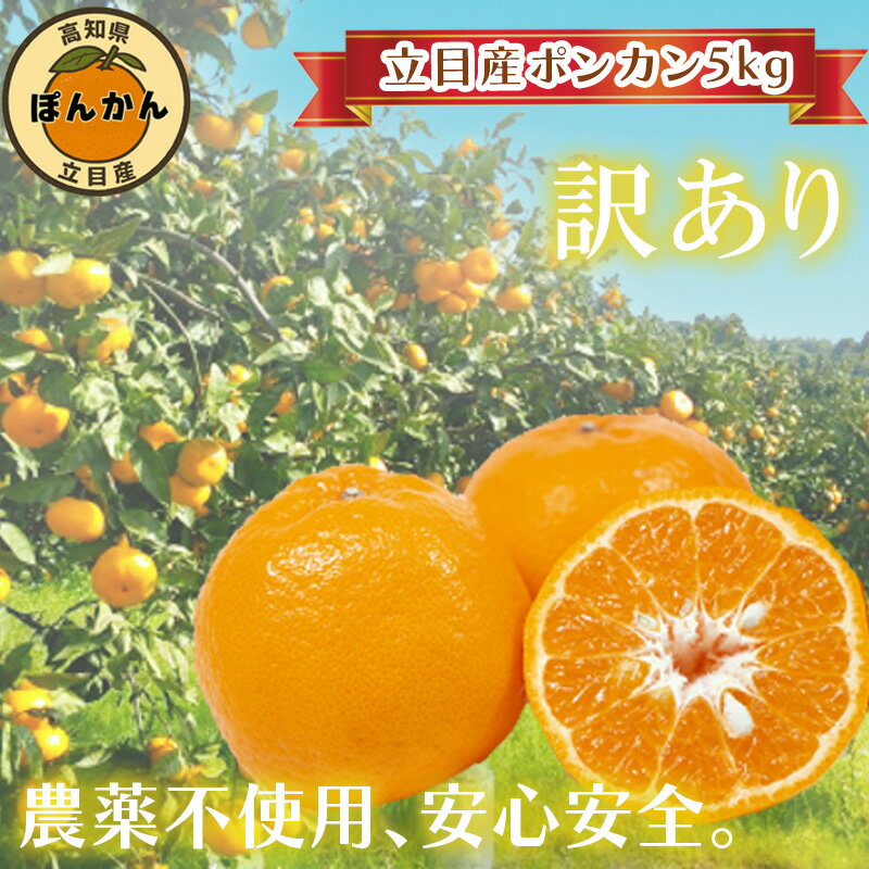 【ふるさと納税】 訳あり ぽんかん 5kg 早期予約開始 1月下旬より順次発送 ぽんかん5kg 立目産 ブランド 無農薬 サイズ混合 柑橘 みかん 蜜柑 家庭用 フルーツ 果物 ふるさと納税 高知県 須崎市
