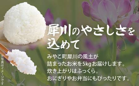 米 5kg 元気つくし【10/1～寄附額改定】 数量限定 こだわりの蓮華米 精米 農家直送 蓮華米 白米 国産米 国産 おにぎり お弁当 福岡県 福岡 九州 グルメ お取り寄せ【10月上旬より順次出荷