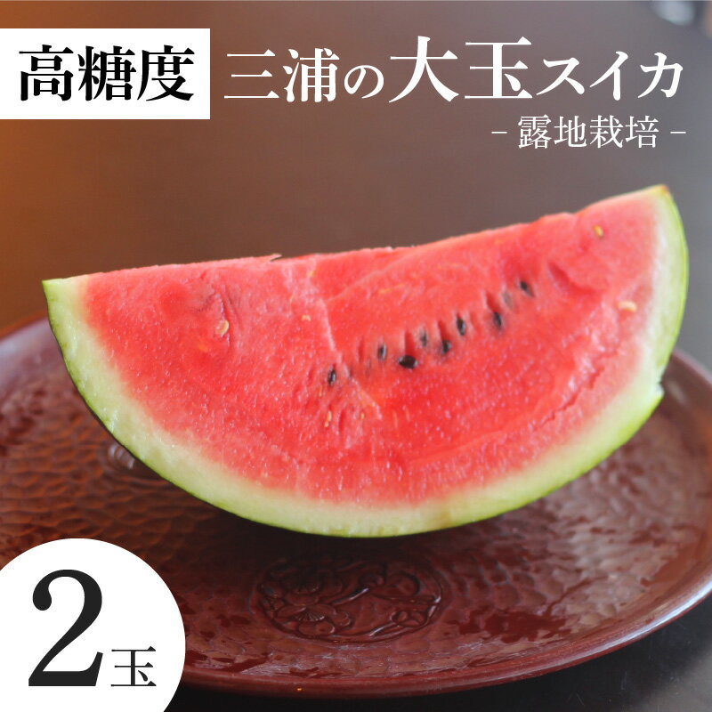 【ふるさと納税】 高糖度 三浦の 大玉スイカ 2玉 露地栽培 スイカ 大玉 甘い 甘味 果物 フルーツ 西瓜 夏季 期間限定 限定 おいしい 角田農園 ふるさと納税 神奈川 三浦市 おすすめ ランキング プレゼント ギフト