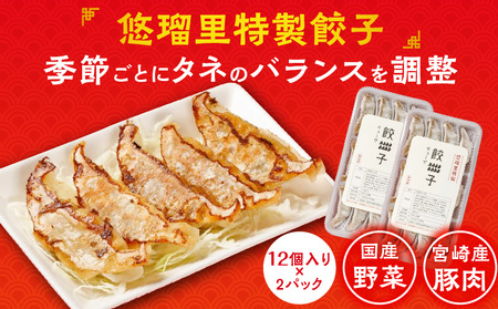 悠瑠里しょうゆら～めん4食セット×悠瑠里特製餃子2P×鶏餃子2P ラーメン ?油ラーメン 餃子