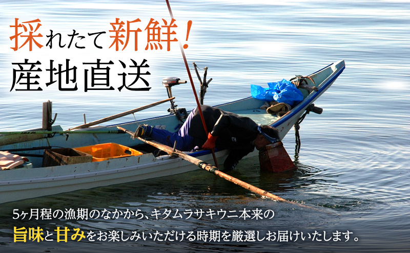 北海道 礼文島産 採れたて キタムラサキウニ 塩水パック 50g×1 生うに 生ウニ 塩水うに 魚貝類 雲丹
