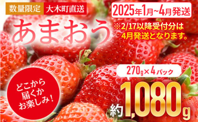 先行予約 福岡育ち あまおう いちご 約270g×4パック 合計1080g 【2023年2下旬〜3月順次発送】