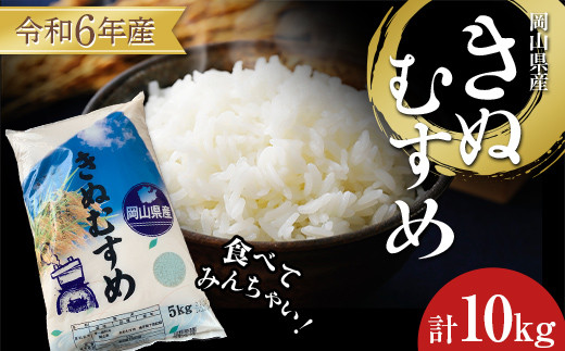 食べてみんちゃい！ 令和6年岡山県産米 きぬむすめ 米 お米 ブランド米 銘柄米 備蓄 日本米 コメ ごはん ご飯 食品 TY0-0761