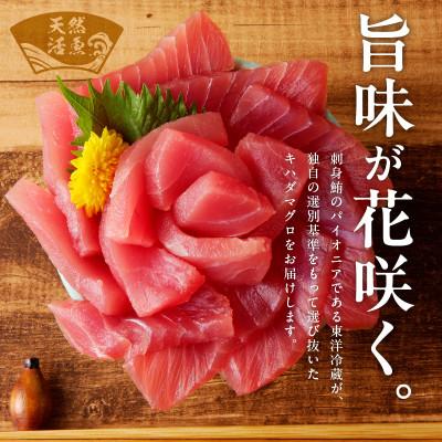 ふるさと納税 泉佐野市 キハダマグロ 合計 1kg 柵 5-7本 冷凍まぐろ 訳あり サイズ不揃い 015B291 |  | 01