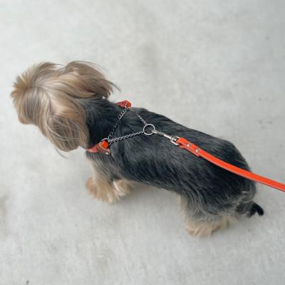 ふるさと納税 松原市 【本革】超小型犬用　首輪　マイスタープラス　レザーハーフチェーンカラー　カーキ　#10 |  | 03