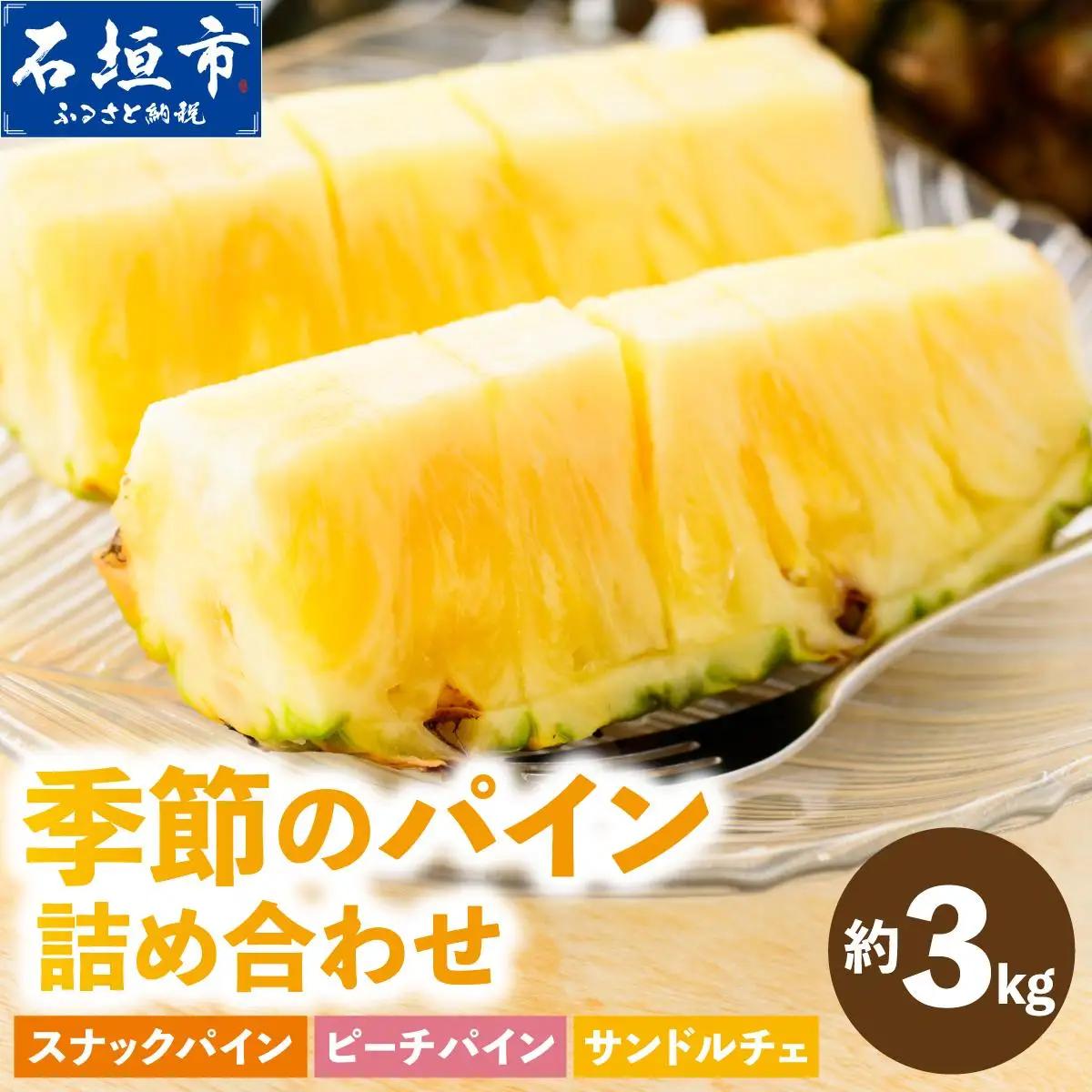 まーぼーの季節のパイン詰め合わせ 約3kg ＜2026年4月以降順次発送＞