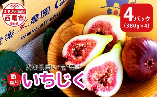 
愛楽農園の"富"葉土いちじく【380g×4パック】・A023-13 愛知県産 西尾市産 愛楽農園はいぼーなす 食品 果物 フルーツ 無花果 イチジク 新鮮 大粒 極上

