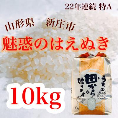 ふるさと納税 新庄市 魅惑のはえぬき(精米)10kg