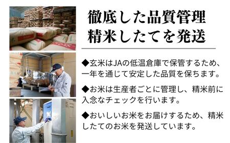 新潟県産コシヒカリ 2kg『ひすいの里』農家自慢の特選米 糸魚川 令和5年産 こしひかり