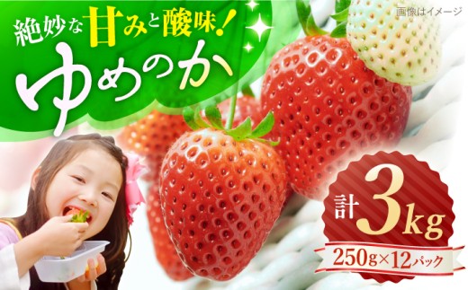 【先行予約】 ゆめのか いちご 計3kg（250g×12パック)  ＜川原農園＞ [CDR011]  長崎 西海 イチゴ いちご 苺 ゆめのか いちご