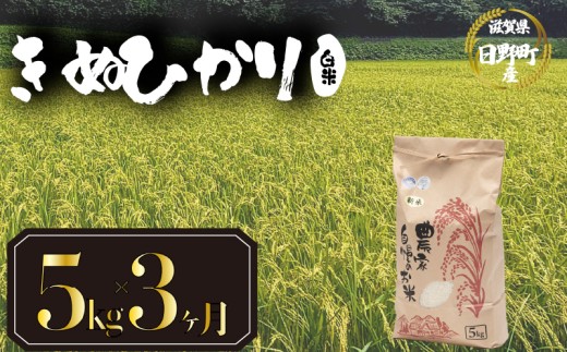 【 令和7年産 新米 5kg 定期便 3ヶ月 】 きぬひかり 米 白米 国産 滋賀県 日野町 農家直送 お米 おこめ こめ 産地直送 ふるさと納税