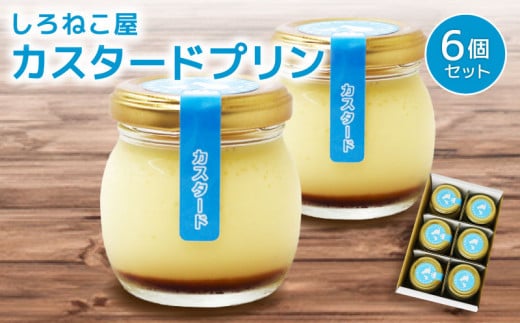 プリン 手作り カスタード プリン  6個セット お菓子 デザート スイーツ おいしい  おやつ 洋菓子 ご褒美  静岡県 藤枝市