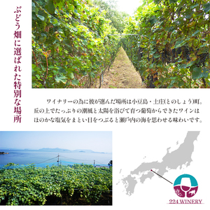 島醸造 メルロー 2024 720ml 小豆島醸造 赤ワイン 日本ワイン 化粧箱入り お酒 酒 ワイン 熟成 贈り物 ギフト 国産 香川 香川県 土庄 土庄町