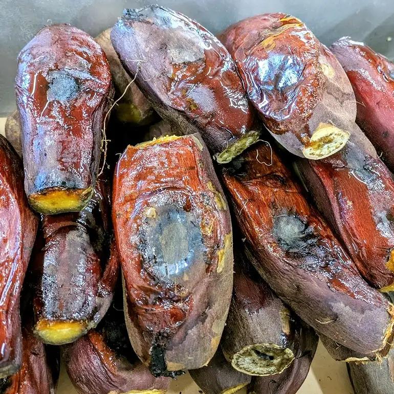2026年12月発送 先行予約 干し芋工房 風と太陽の小芋焼き芋 1.8kg しっとり甘い おいも いも 芋 茨城県産 国産 無添加 和菓子 お菓子 おやつ スイーツ お取り寄せ さつまいも