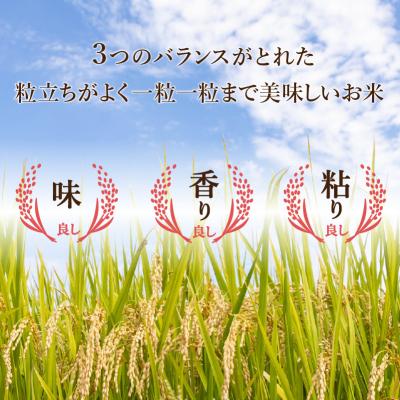 ふるさと納税 小松市 令和7年産 コシヒカリ 精米 10kg(5kg×2袋)冷めても美味しい小松市産のお米 |  | 01