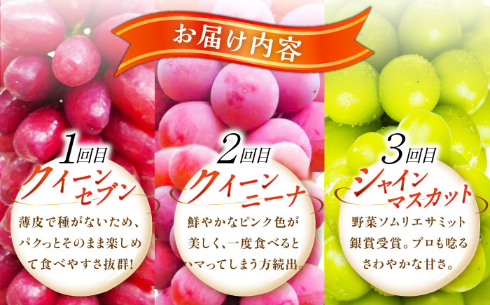 【全3回定期便】【2025年先行予約】【数量限定】【自宅用】毎月ぶどうをお届け！イチオシ3品種 各2房 島根県雲南市/ギアファーム [AIAB011]