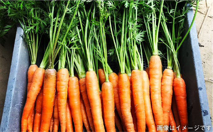 朝採り季節のオーガニック旬野菜お任せ5品＋糸島産の大ヒット特産加工品2品の計7品セット [AGE028]