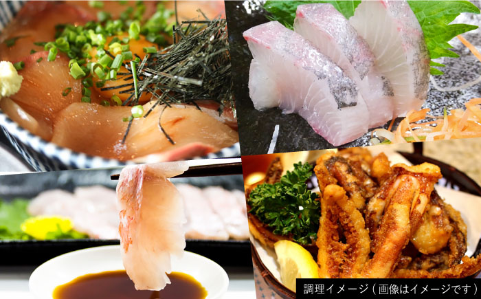 【全4回定期便】【五島列島・直送】朝獲れ！高級鮮魚セット2kg 五島市 / 鯛福丸水産 [PDP005]