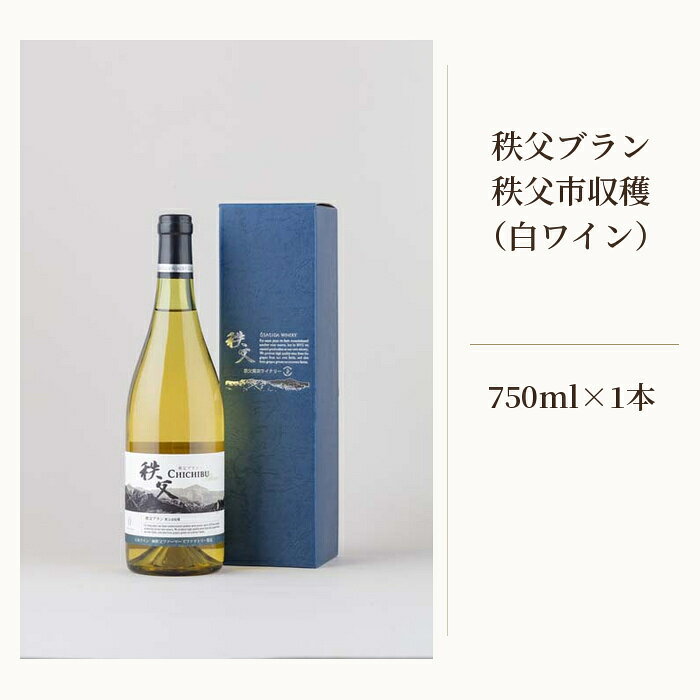 【ふるさと納税】 秩父ブラン　秩父市収穫（白ワイン） ／ お酒 ぶどう ブドウ 葡萄 果実 送料無料 埼玉県 No.560