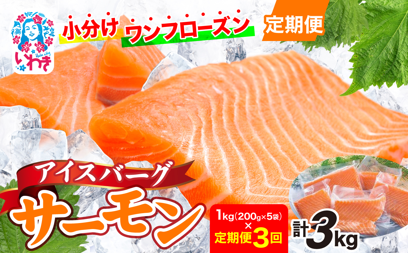 〈定期便3回〉アイスバーグサーモン（アトランティックサーモン）　約1kg（約200g×5袋） | アイスバーグサーモン アトランティックサーモン 産地直送 冷凍 お取り寄せ サーモン 切り身 北欧 ノルウェー 高たんぱく オメガ3 健康志向 | DK006-t3