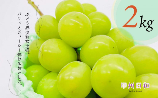朝採れシャインマスカット 約2.0kg【2026年発送】（KSB）C-133 【シャインマスカット 葡萄 ぶどう ブドウ 令和8年発送 期間限定 山梨県産 甲州市 フルーツ 果物】