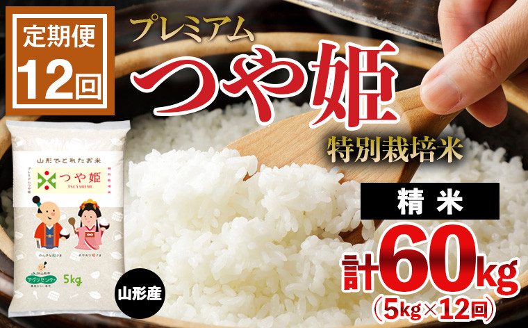 
【定期便12回】[令和5年産] プレミアムつや姫(特別栽培米) 5kg×12ヶ月(計60kg) FZ22-410
