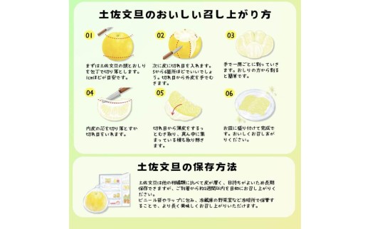 ＜土佐文旦の藤岡＞訳あり 温室土佐文旦 家庭用 5kg (8～12玉）文旦 ぶんたん ブンタン 土佐文旦 ハウス栽培 甘い 柑橘 フルーツ 果物 ご当地 産地直送 お取り寄せ 5キロ  土佐 高知