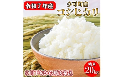 新米予約 令和７年産 お米 20kg 5kg×4 コシヒカリ 精米 兵庫県多可町産 [1221]