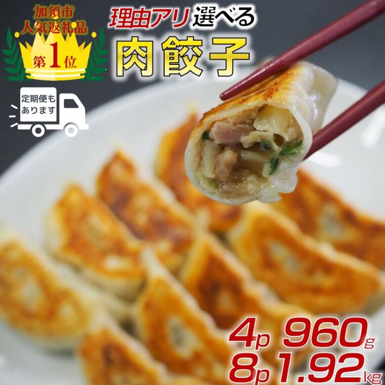 【ふるさと納税】【訳あり】肉汁溢れる冷凍肉餃子 ：4パック or 8パック【定期便アリ】