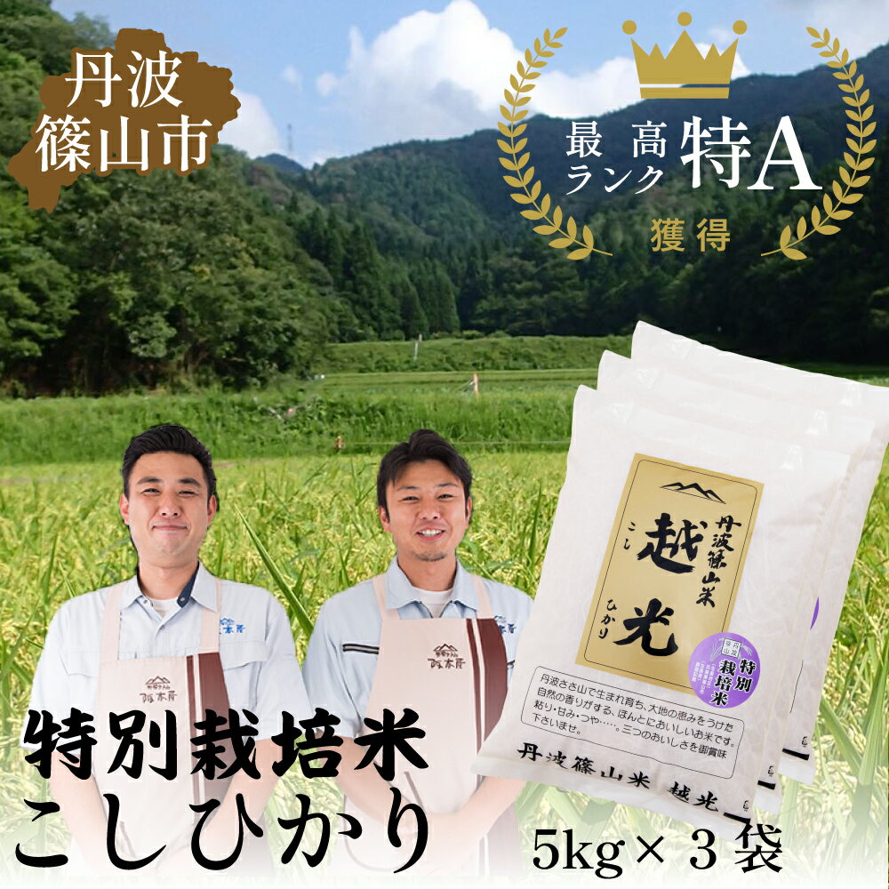 【ふるさと納税】【令和7年産 2025年9月以降、順次発送】 丹波篠山産　特別栽培米　越光（農薬不使用）（5kg×3袋） お米 おこめ ブランド米 ごはん ご飯 白米 米 コメ こめ 精米 精白米 ライス おいしい米 美味しいお米 お取り寄せ こしひかり コシヒカリ