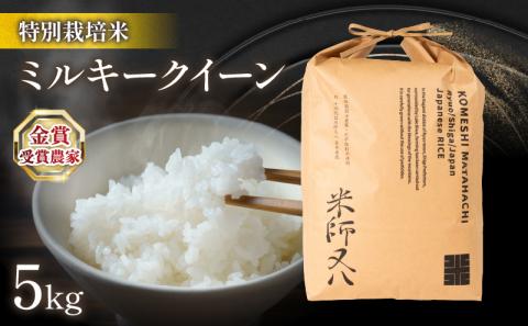 令和5年産 ミルキークイーン 5kg 十六代目米師又八 謹製