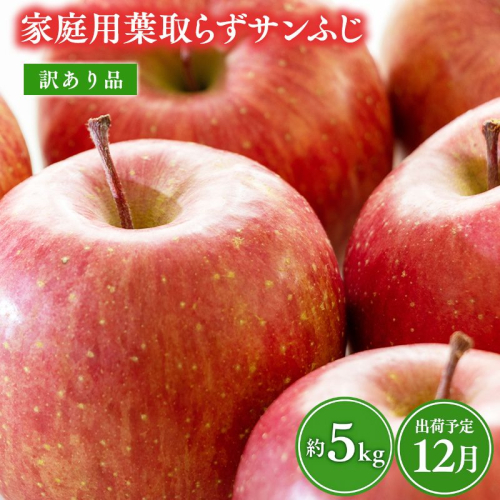 12月 葉取らずサンふじ 約5kg 訳あり 家庭用【青森県 平川市 森山商店 】 青森りんご 林檎 リンゴ サンふじ ふじ 葉とらず 訳あり 訳アリ 家庭用 平川市 青森県