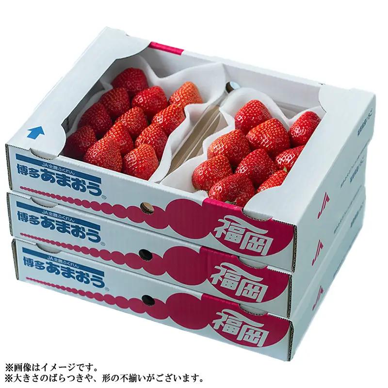 【先行予約／2027年出荷】【春】福岡産あまおう6パック 3V4