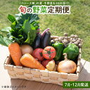 【ふるさと納税】「ベジーズ館」の夏・冬野菜　年2回コース （7月と12月発送）