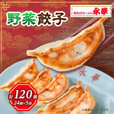 ふるさと納税 佐野市 佐野餃子(中)野菜27g×120個 【離島・沖縄県不可】