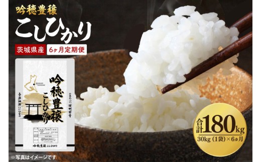 【6ヵ月定期便】＜令和8年産 ＞新米吟穂豊穣こしひかり 30kg（1袋）×6ヵ月（茨城県産）精米 コシヒカリ こしひかり 米 ごはん コメ お米 白米 国産 茨城県産
