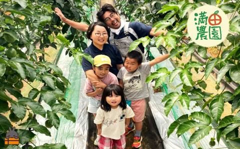 【先行予約】満田農園さんのパッションフルーツ（約600g） ( 旬 パッション フルーツ 果物 島フルーツ 酸味 甘み 徳之島 奄美 鹿児島 プチプチ 食感 果汁 フレッシュ 美味しい 美容 )	