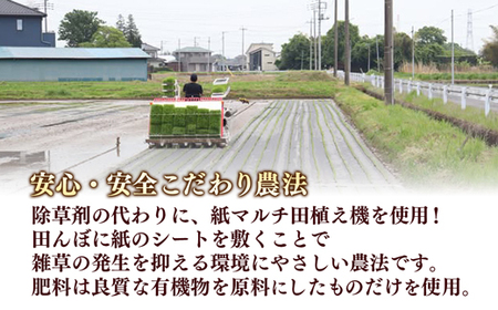 【令和7年産】無農薬・無化学肥料栽培 埼玉県幸手市産特別栽培コシヒカリ 「幸ヒカリ」精米10kg -  米 特別栽培米 幸手市産