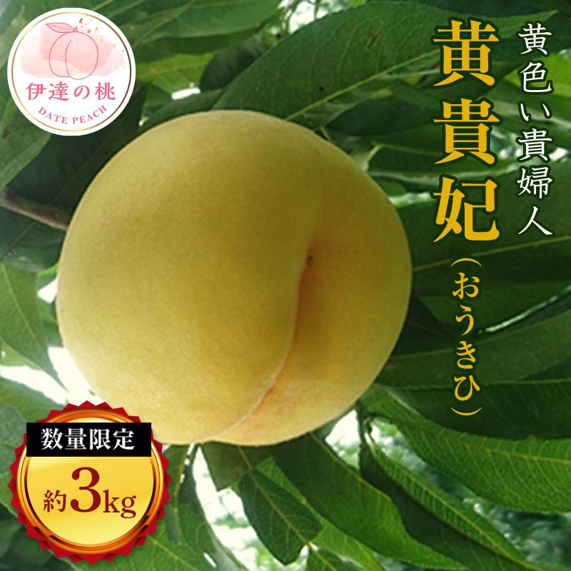 【ふるさと納税】【2026年出荷分先行予約】福島県産 黄貴妃 約3kg (11～13玉) 有限会社志賀青果 数量限定 伊達の桃 桃 フルーツ 果物 もも モモ momo F20C-158