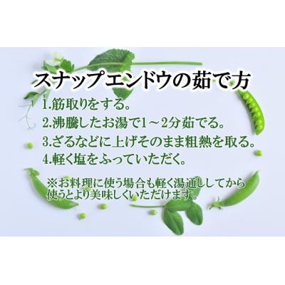 ふるさと納税 錦江町 《先行受付》期間限定!! 農家直送〜新鮮スナップエンドウたっぷり2kg (No.1395-1) |  | 03