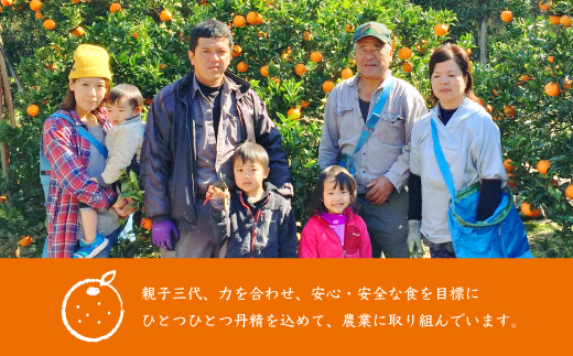 【訳あり】南国特産もぎたてフルーツ たんかん10kg【先行受付】2月下旬より順次発送 B2-14【配送不可地域：離島】【1466329】
