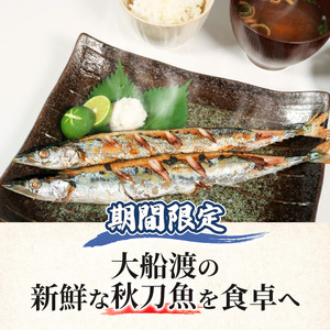 【2026年先行予約】 訳あり 鮮さんま 約2kg ＼ さんま ／