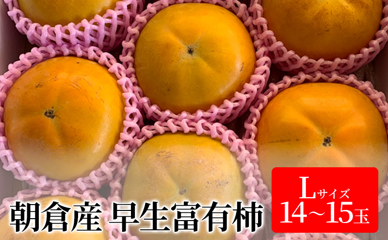 柿 富有柿 早生 Lサイズ 14～15玉入 かき カキ 果物 くだもの フルーツ 
