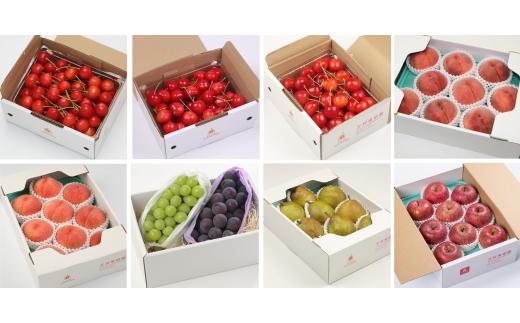 08-03-046　果樹園物語(王将プラン)全8回